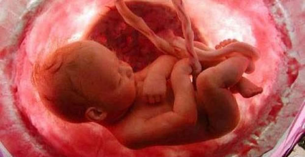 Aborto: Não aborte o seu potencial
