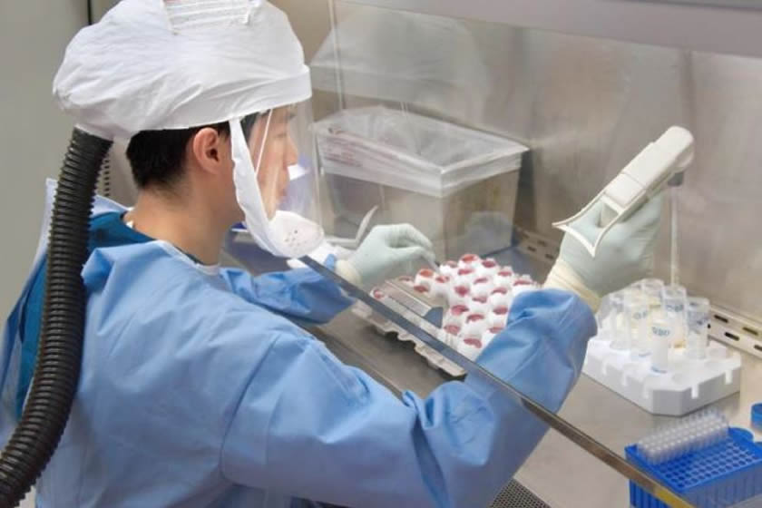 Cientistas do Japão vão criar vacina contra Nipah